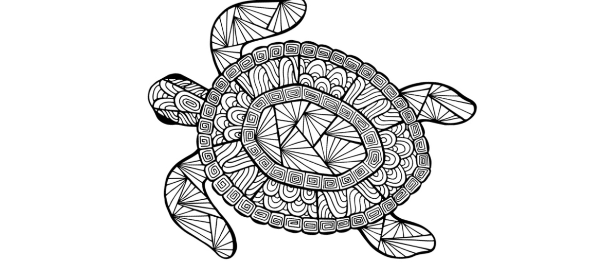1200x900_turtle (Demo)